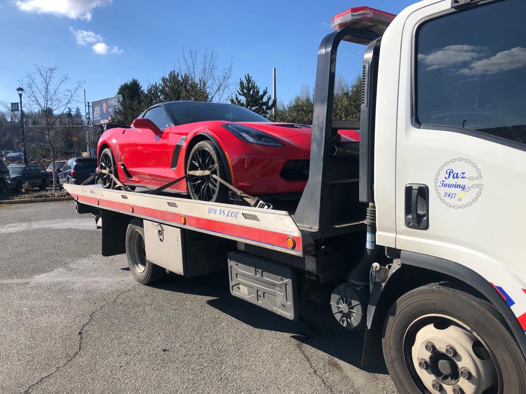 Gruas Hispanas Image